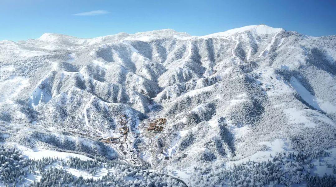 逃离弃城