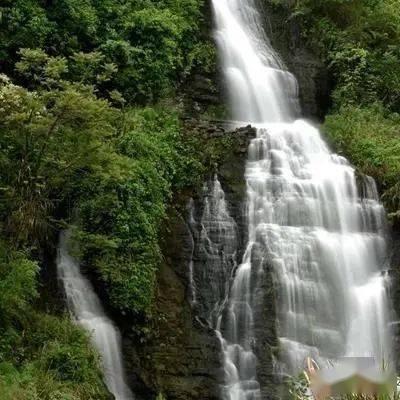 梦想之森