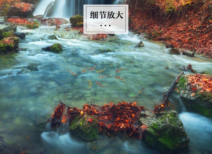 沙皇与哥萨克-俄罗斯乌克兰百年矛盾的另一视角