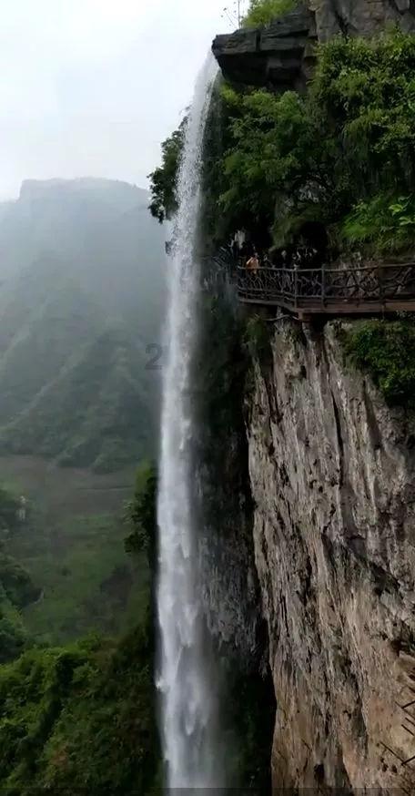 沪江开心词场