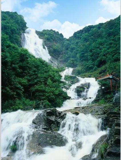 虫虫助手下载