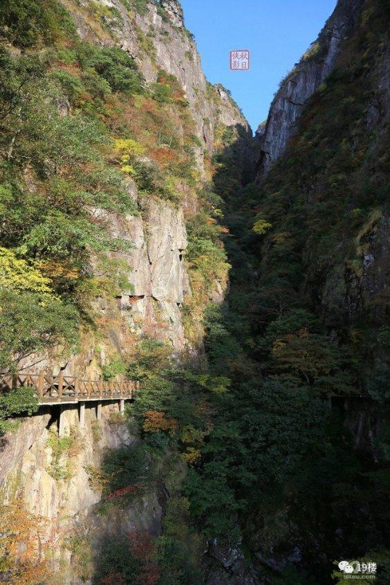 僵尸跳跳跳