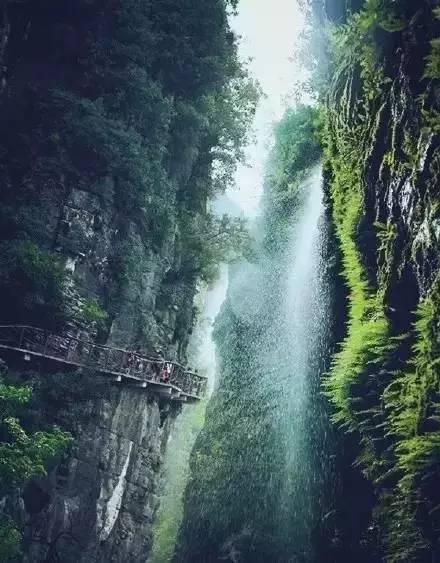 沪江开心词场