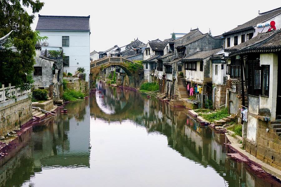动物帮帮忙保卫家园