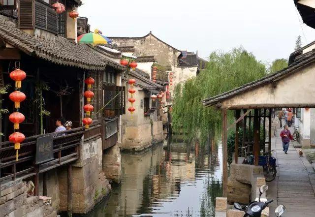 王哲林和队友做公益,莫兰德摩拜张镇麟,赵继伟到原帅家做客