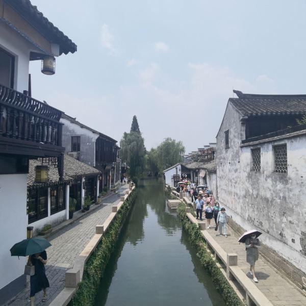 学习插花艺术