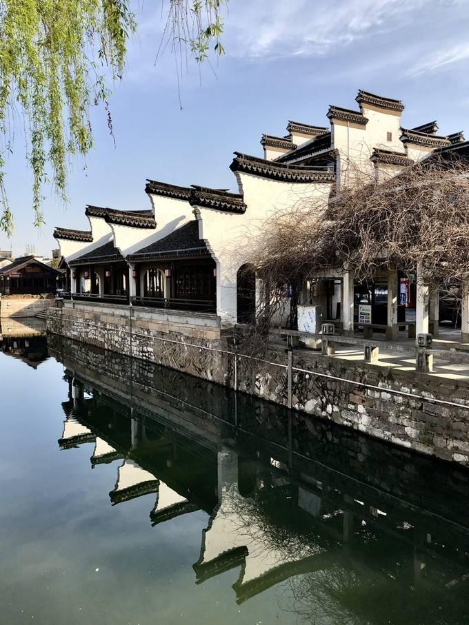 拯救精灵的土地10