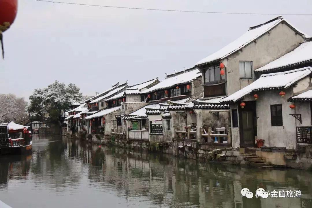 动物帮帮忙保卫家园