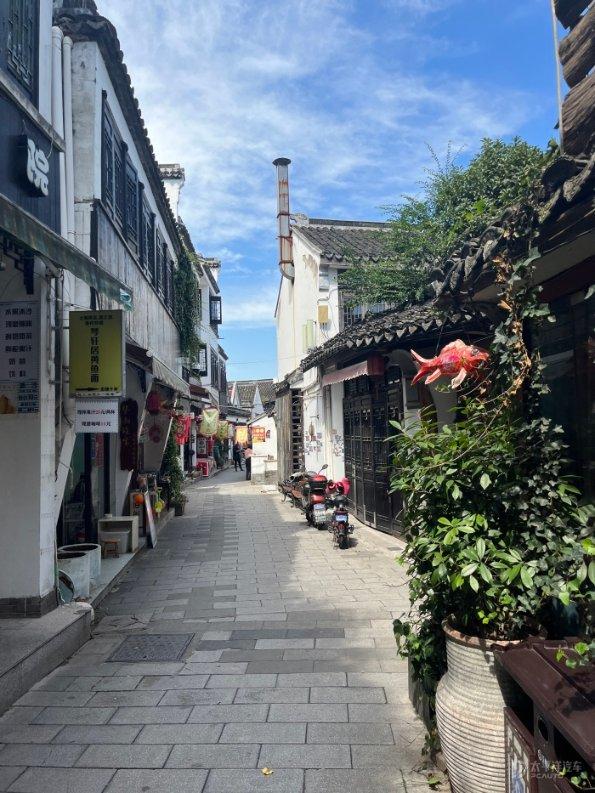 小猫钓鱼游戏龙王版有船