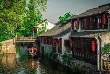 山茶油和橄榄油哪个好？两种油有什么区别吗？游戏画面