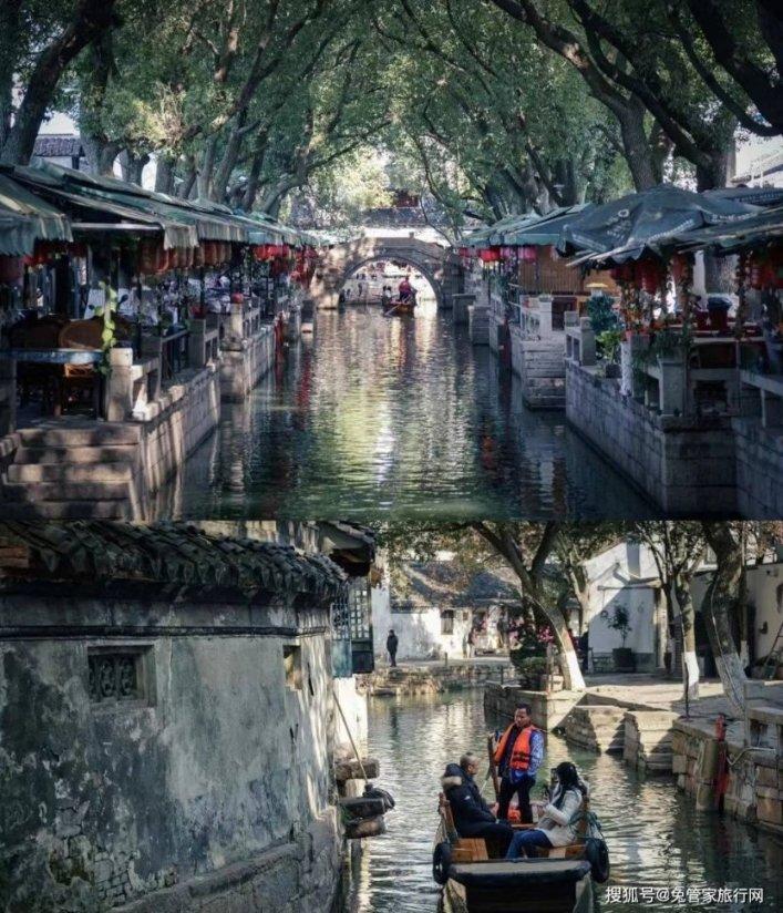 一县一品公益助农!游火石寨吃九碗十三花宁夏西吉特色农产品西芹
