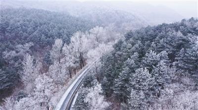 燃烧吧大脑免广告最新版