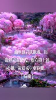 国际青少年足球赛广西贵港开赛