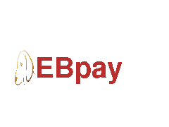 EBpay安全支付工具-钱包官网下载(苹果/安卓)